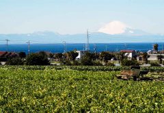 緑豊かな自然が溢れる三浦市